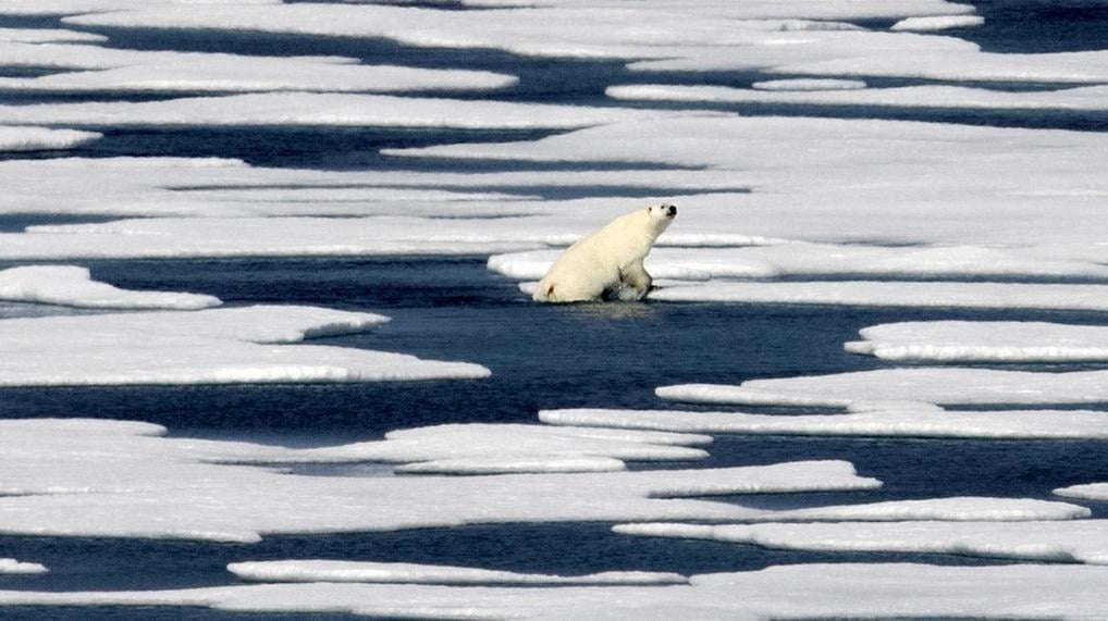 Federal Judge Restores Obama Ban on Oil Drilling in Arctic Waters