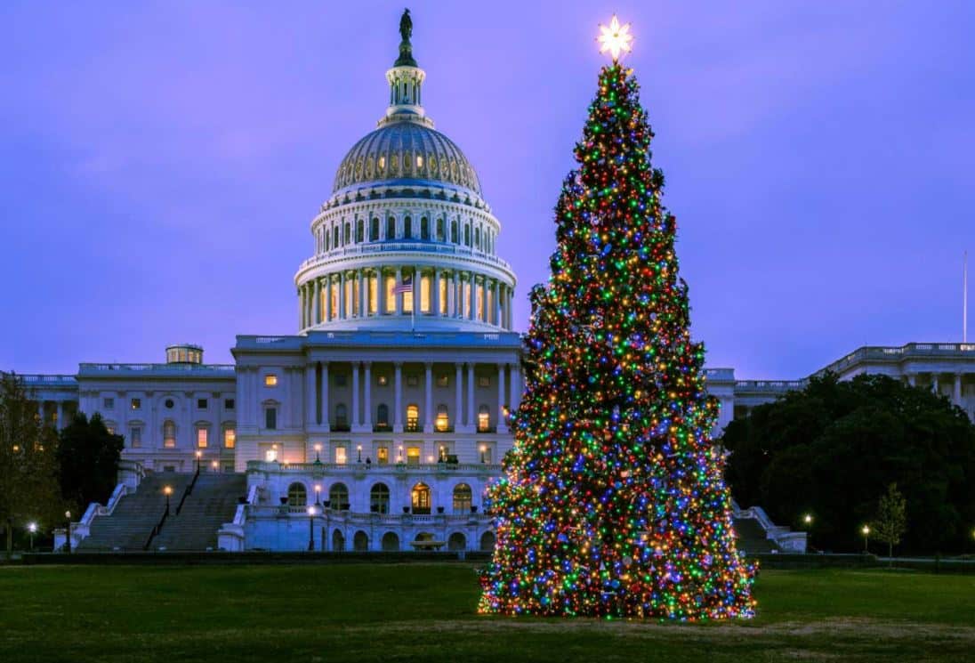 Capitol Christmas Tree to Begin Journey East on Sunday