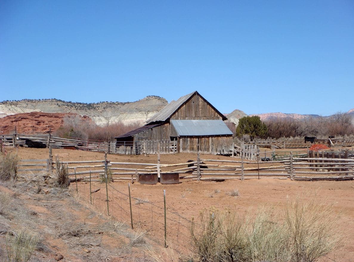 Bipartisan Legislation Will Assist Farmers and Rural Communities Tackle Mental Health Issues