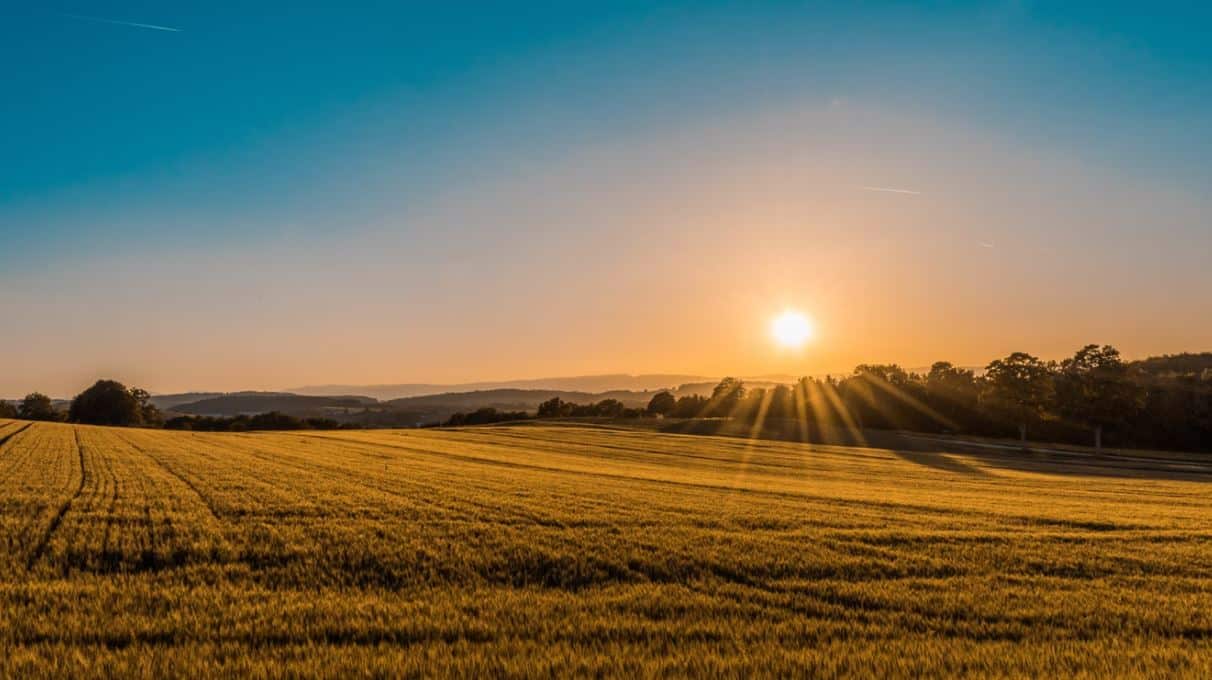 Survey Finds Farmer Sentiment Rising on Strengthened Financial Position