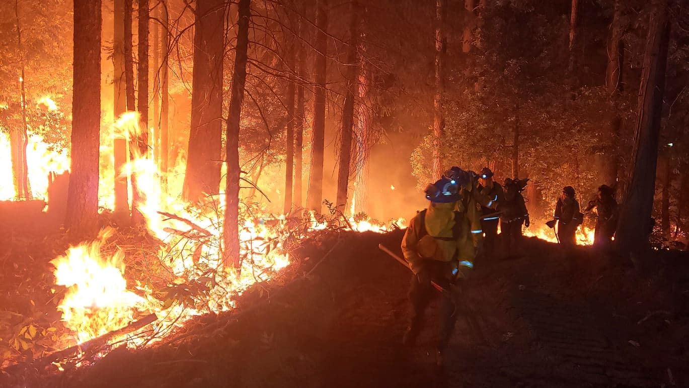 Environmentalists Sue Forest Service for Flame Retardants Dropped on Fires