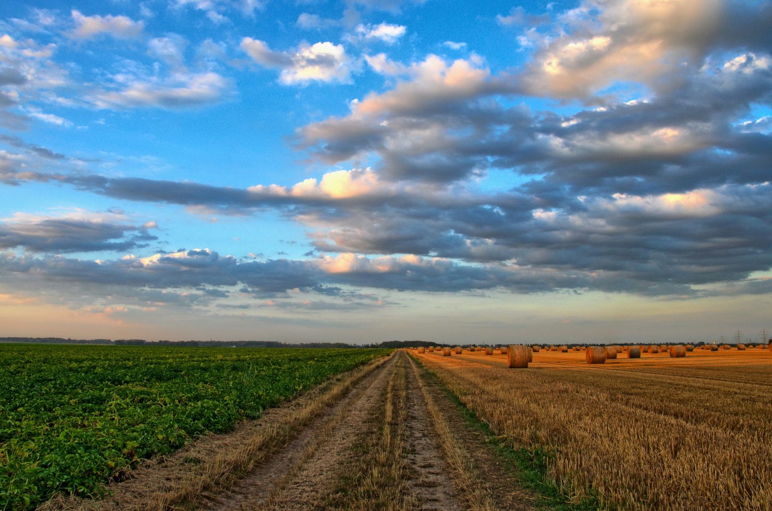 O’Halleran, Smith and Armstrong Seek to Extend Telehealth Flexibilities for Rural Health Care Providers 