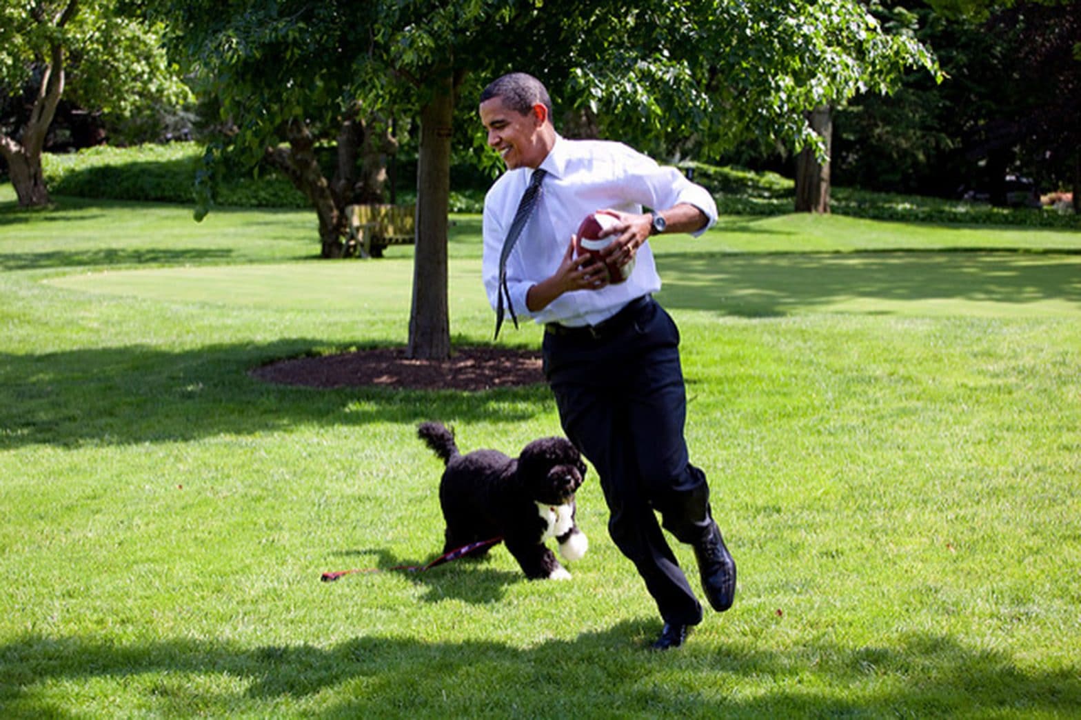National Love Your Pet Day – Presidential Pets Photo Gallery