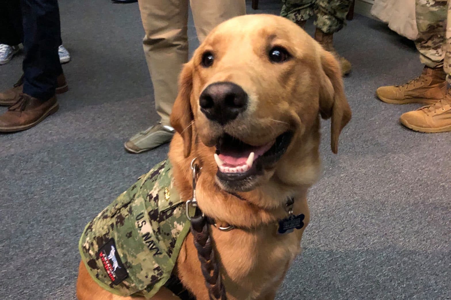Sit, Heal: Dog Teaches Military Medical Students the Merits of Service Animals