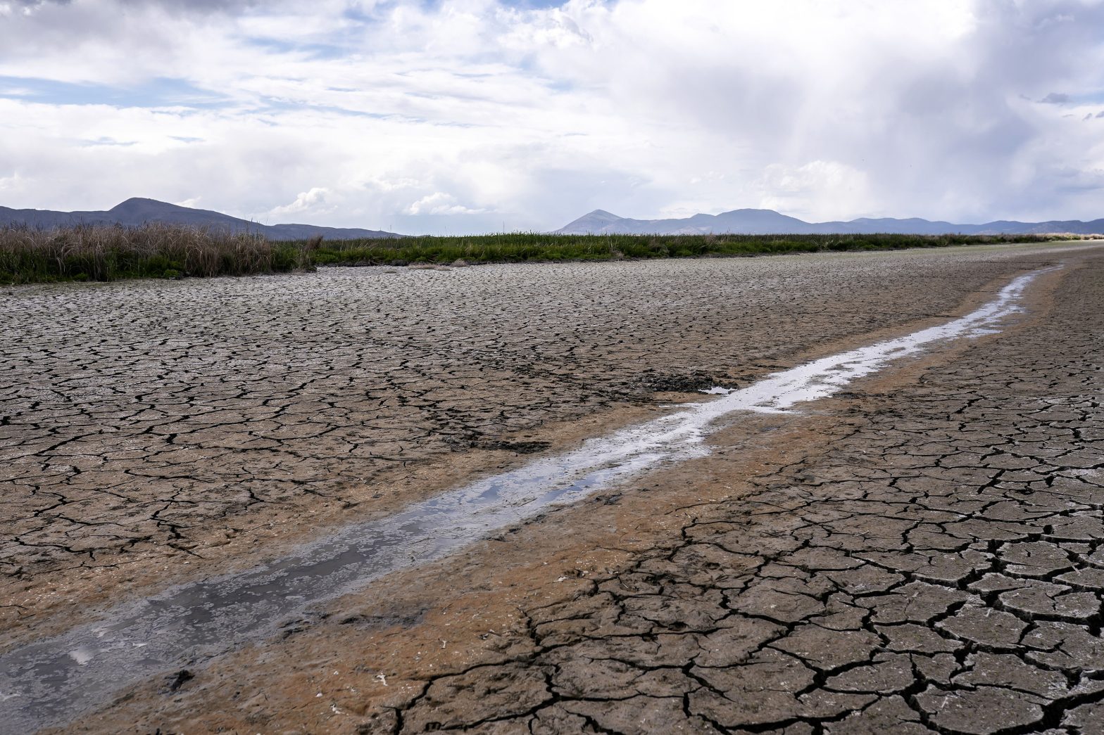 Millions Must Cut Water Use in Drought-Stricken California