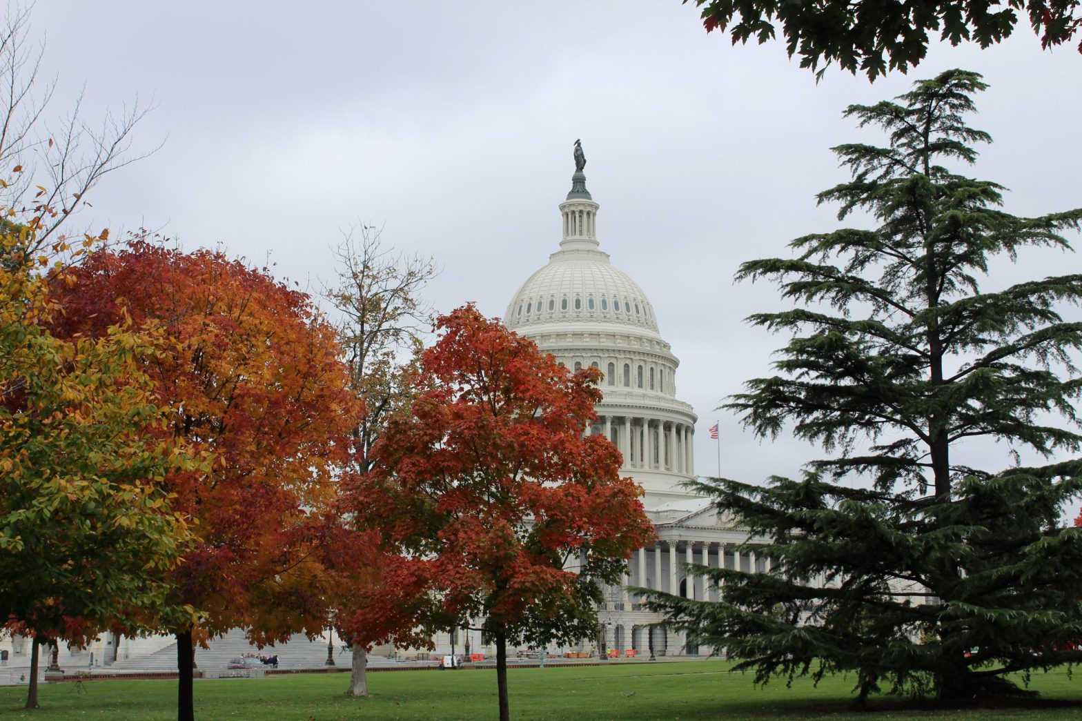 Dems Show Surprising Strength; Control of Congress Unclear