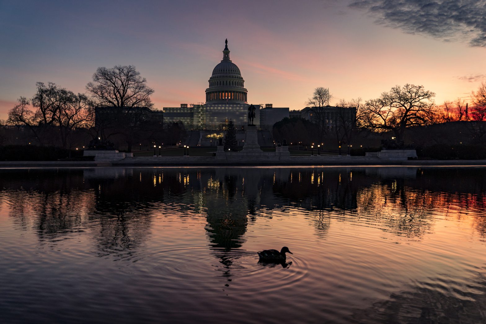 118th Congress New Senate Chiefs