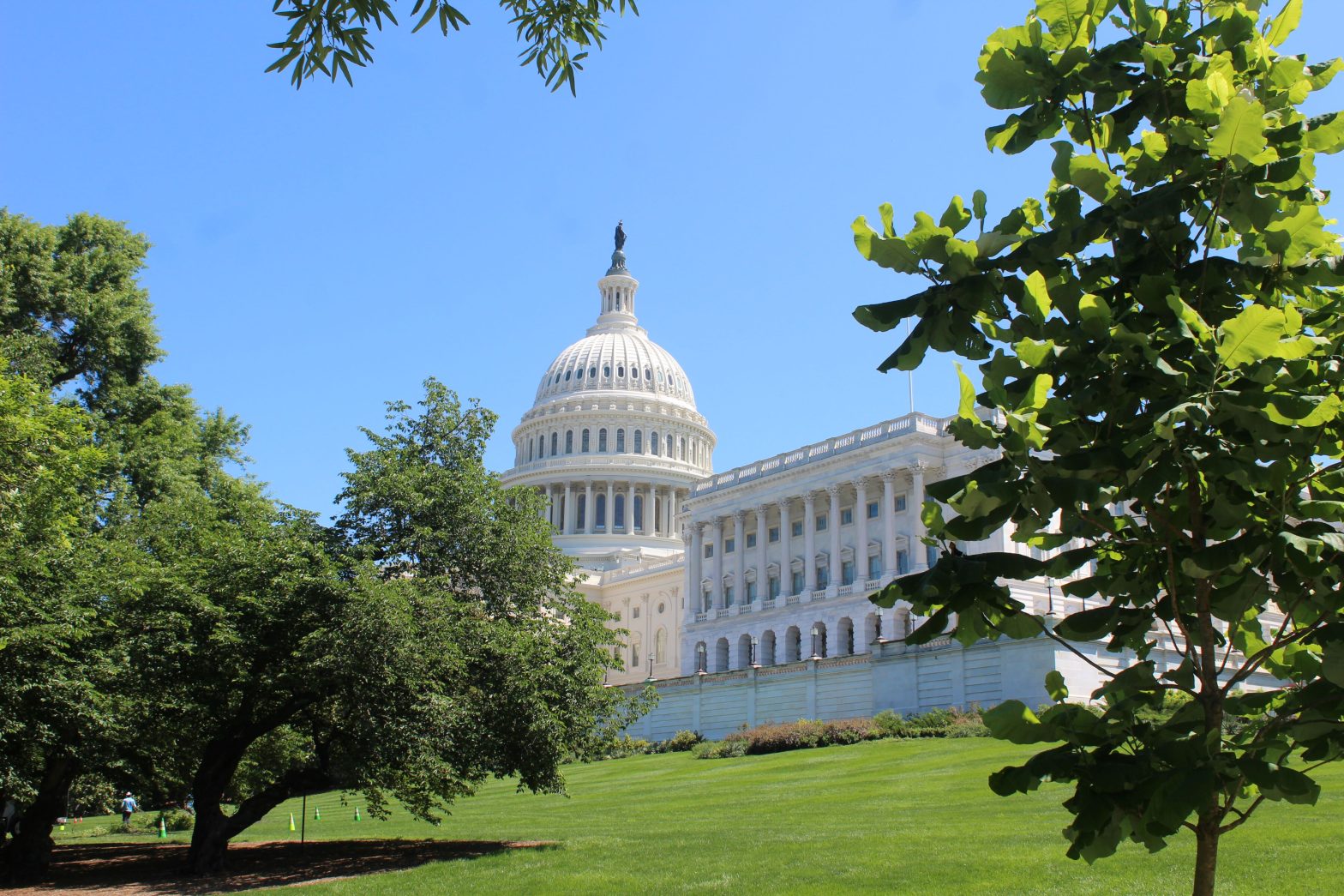 NewDEAL Poll Finds Voters Overwhelmingly Want Leaders to Work Together