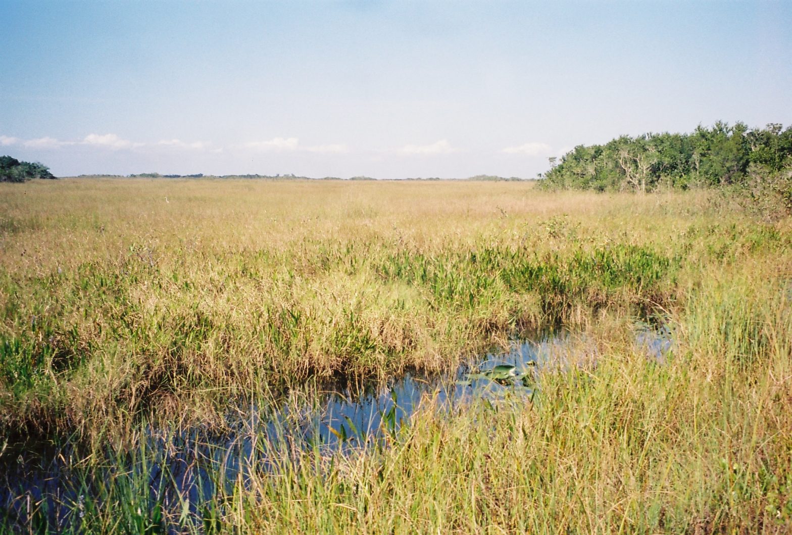 House Delegation Seeks Infrastructure Funds for Everglades Restoration