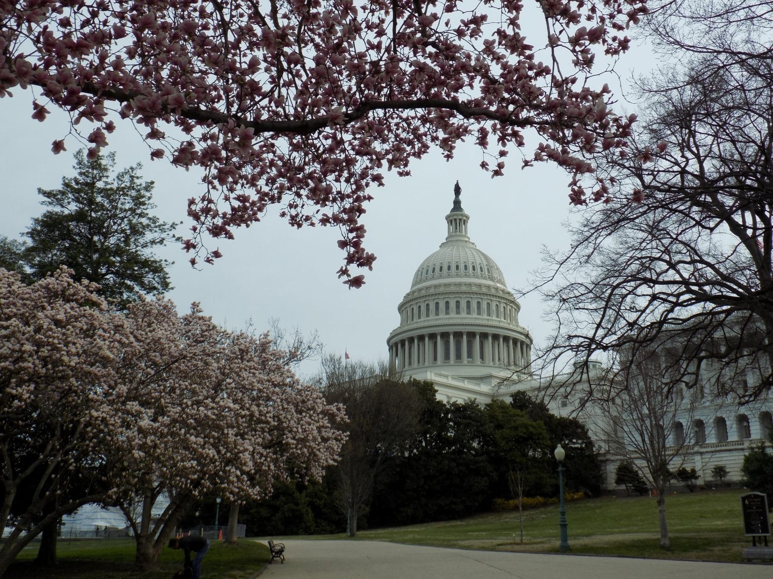 House Members District Time to Extend Through March 23