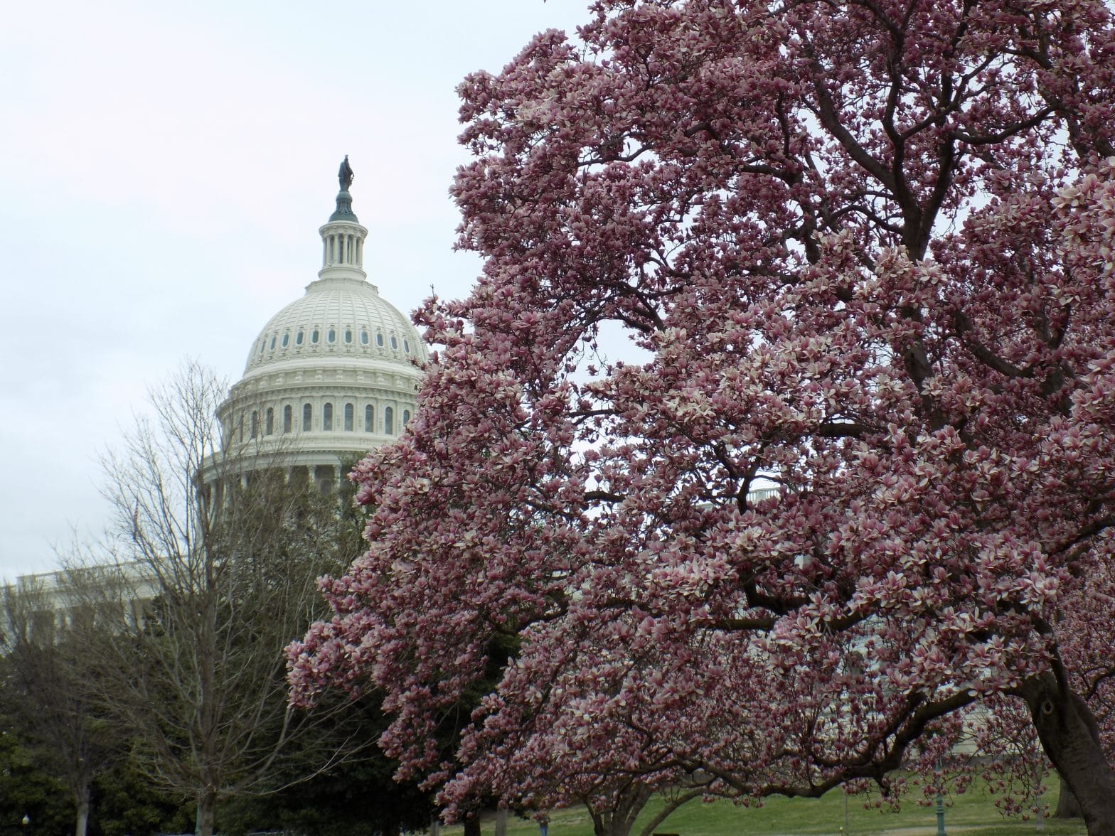 Sergeants at Arms Extend Capitol Closure