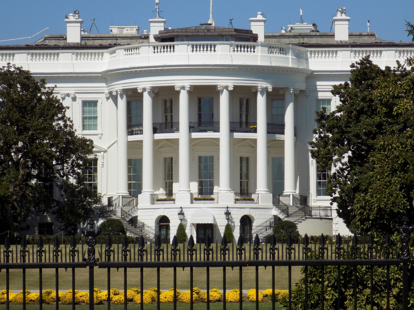 Survey Finds Voters ‘Anxious,’ ‘Overwhelmed’ in Wake of 2024 Election