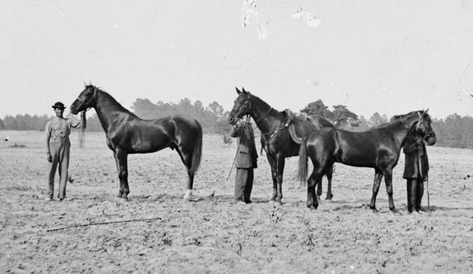 <strong>Stop the Slaughter: We Must Call for Congressional Action to Save America’s Horses</strong>