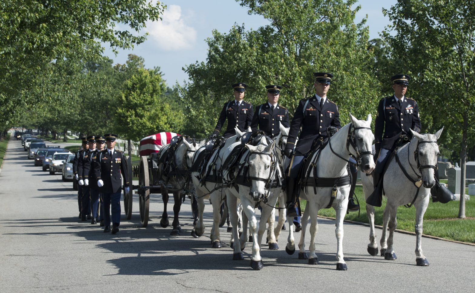 After Arlington National Cemetery Horse Deaths, Army Makes Changes