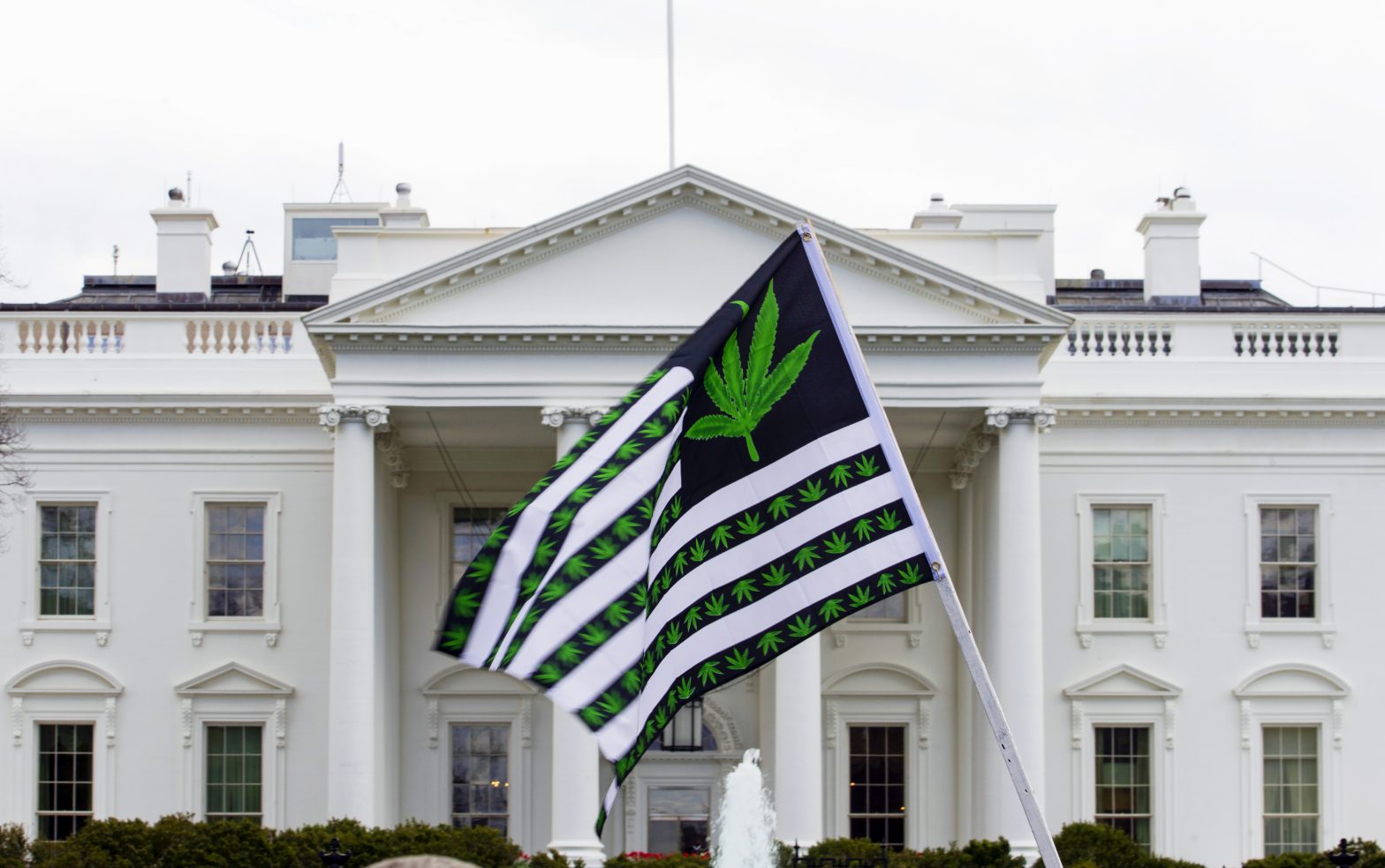 Biden Pardons Federal Offenders of Marijuana Possession Laws