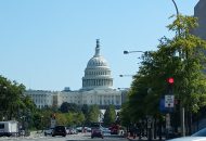 Senate Tries to Crack Down on Online Counterfeit Sellers
