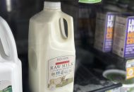 There’s Bird Flu in US Dairy Cows. Raw Milk Drinkers Aren’t Deterred