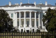 Survey Finds Voters ‘Anxious,’ ‘Overwhelmed’ in Wake of 2024 Election