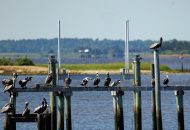 Decision Looming for Trump Administration on First PFAS Drinking Water Limits