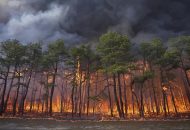 Smoke From Growing New Jersey Wildfire to Affect Air Quality in the New York City Area