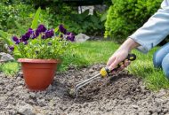 Happy Earth Day: Gardening and Health
