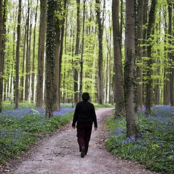 Bluebells and Other Spring Flowers Can Be Nature’s Antidote to Stressful Times