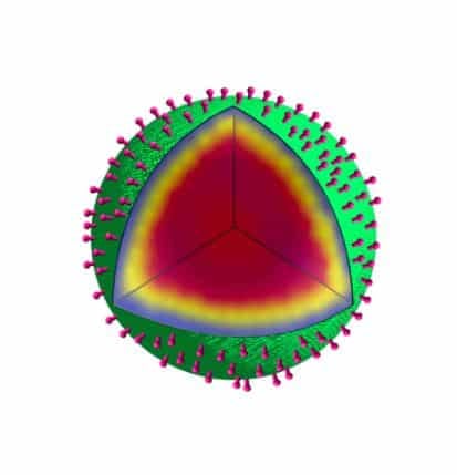 Bacterial Spores Inspire Novel Cancer Drug Delivery System