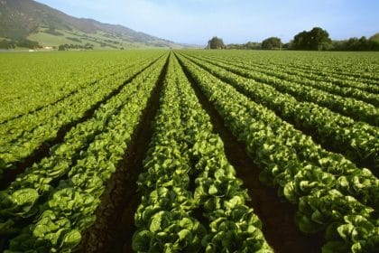 Record High Confidence Levels Wane for Agricultural Producers