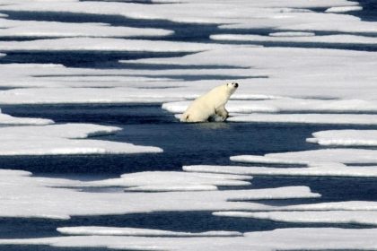 Federal Judge Restores Obama Ban on Oil Drilling in Arctic Waters