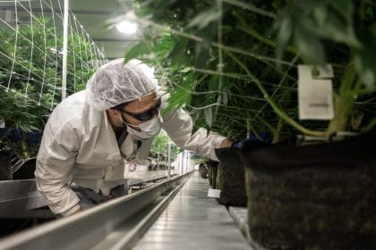 FDA Issues Draft Guidance on Cannabis Research