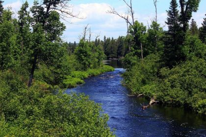 Minnesota Says New Federal Pollution Rules Would ‘Kneecap’ Water Protections