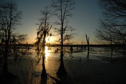 Louisiana’s Edwards Unveils Coastal Priorities, Names Resilience Officer