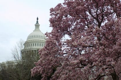 Sergeants at Arms Extend Capitol Closure