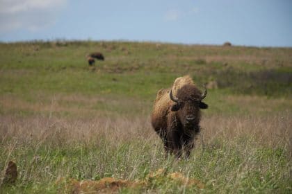 Supreme Court Holds Large Piece of Oklahoma Belongs to Native American Tribe