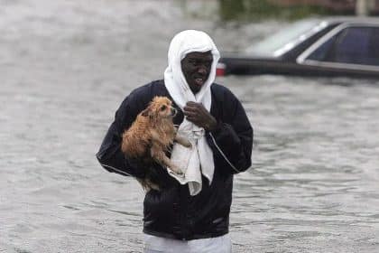 Preparing Animals for Natural Disasters