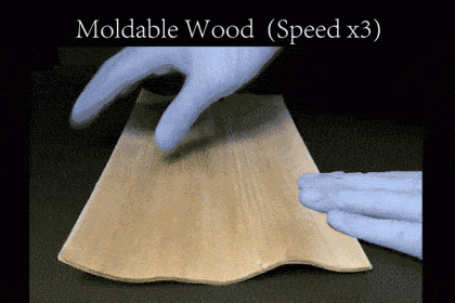 Researchers Have Now Made Wood That You Can Fold and Mold