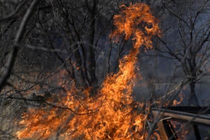 Texas Firefighter Crews Work to Contain Wildfire Outbreaks