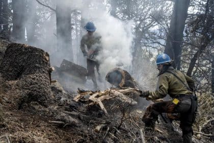 Planning for the Future Era of Unprecedented Wildfire Activity