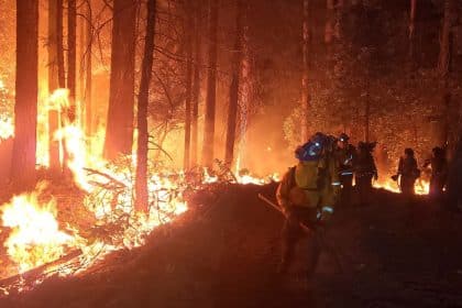 Environmentalists Sue Forest Service for Flame Retardants Dropped on Fires