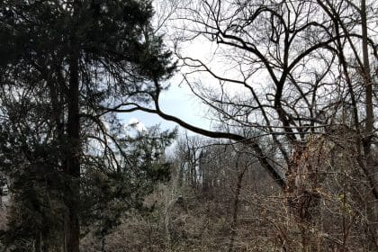 National Park Service Considering Reopening Park’s Beach Drive to Traffic