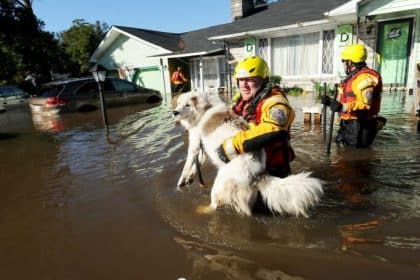 Bipartisan PAW Act to Protect Animals Impacted by Disaster, Signed Into Law