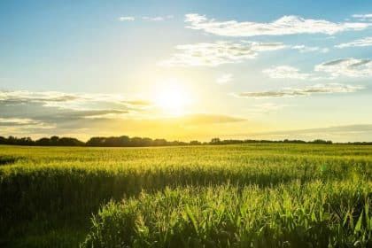 Iowa Ag Chief Touts Success of Farmer Mental Health Program