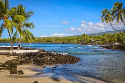 Midterm Elections, Hawaiian Style