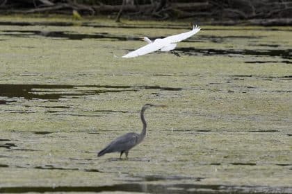 EPA Finalizes Water Rule That Repeals Trump-Era Changes