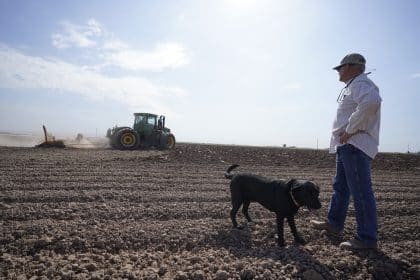 In Dry West, Farmers Balk at Idling Land to Save Water