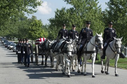 After Arlington National Cemetery Horse Deaths, Army Makes Changes