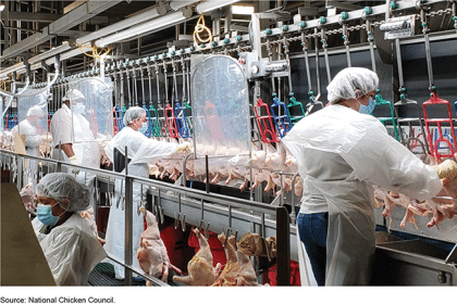 Meat and Poultry Industry in Need of Pandemic Safety Standards