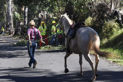 People in Hawaii Flee Into Ocean to Escape Wildfires Burning Popular Maui Tourist Town