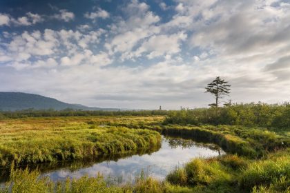 Conservationists Sue Fish and Wildlife Service Over West Virginia Waiver