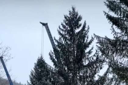 Capitol Christmas Tree Soon to Begin Journey to DC